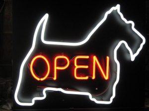 Neon sign for pet food store